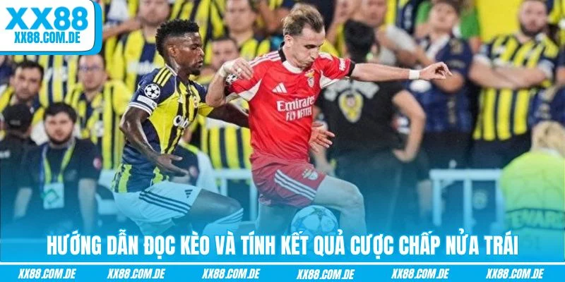 Hướng dẫn đọc kèo và tính kết quả cược chấp nửa trái